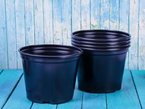 Как выбрать подходящие горшки для рассады: рекомендации новичкам
