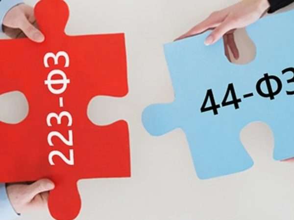 Всё о банковских гарантиях онлайн: как получить по 44-ФЗ и 223-ФЗ быстро и просто