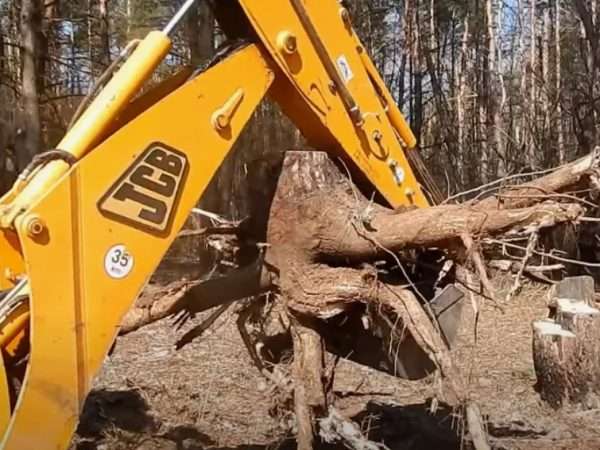 Корчевка пней как первый шаг к созданию сада или огорода